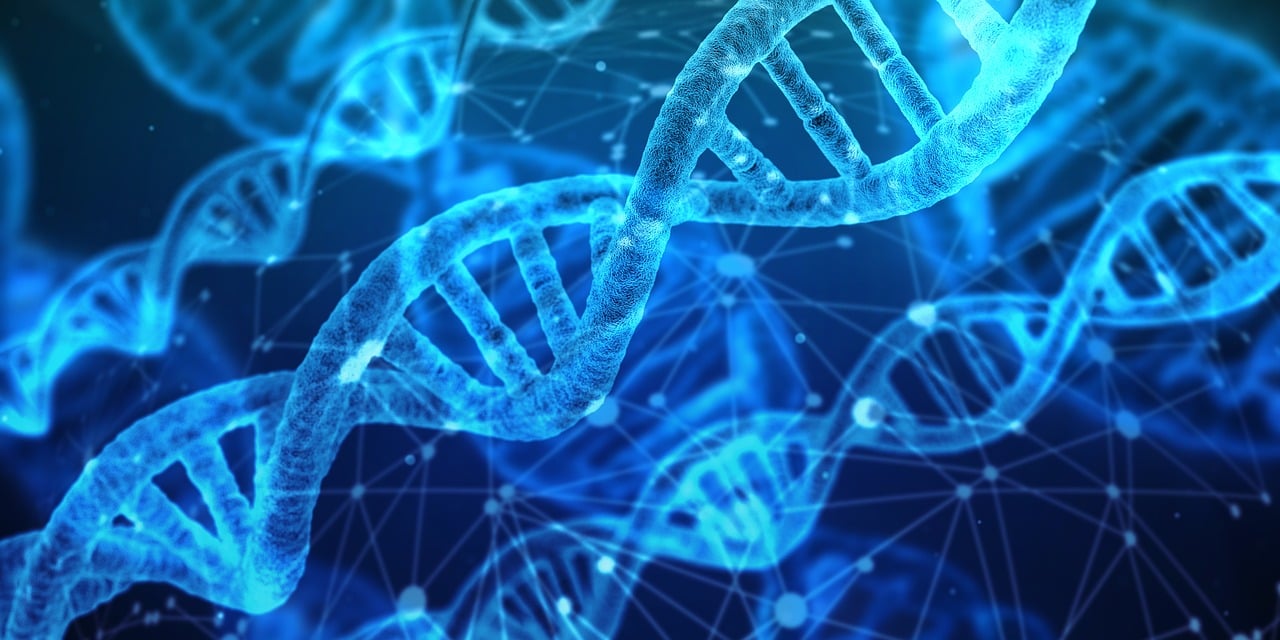 entdecken sie die neuesten technologischen innovationen, die die welt verändern. von bahnbrechenden erfindungen bis hin zu zukunftsweisenden anwendungen – erfahren sie, wie technologie unser leben revolutioniert.